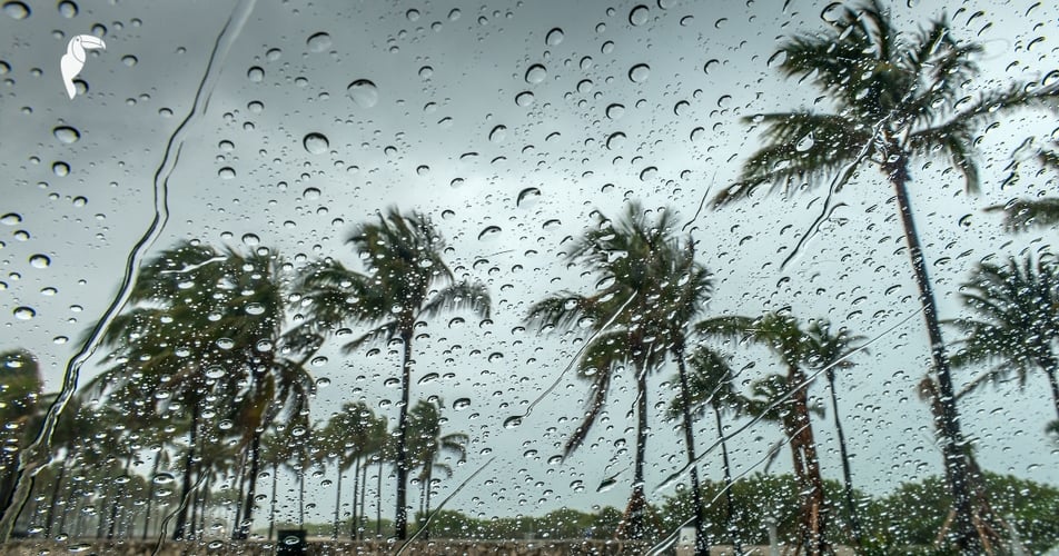 lluvia-tropical-canva-png