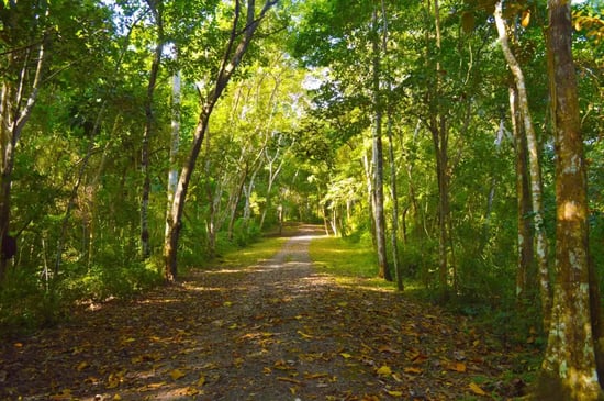 Metropolitan Natural Park