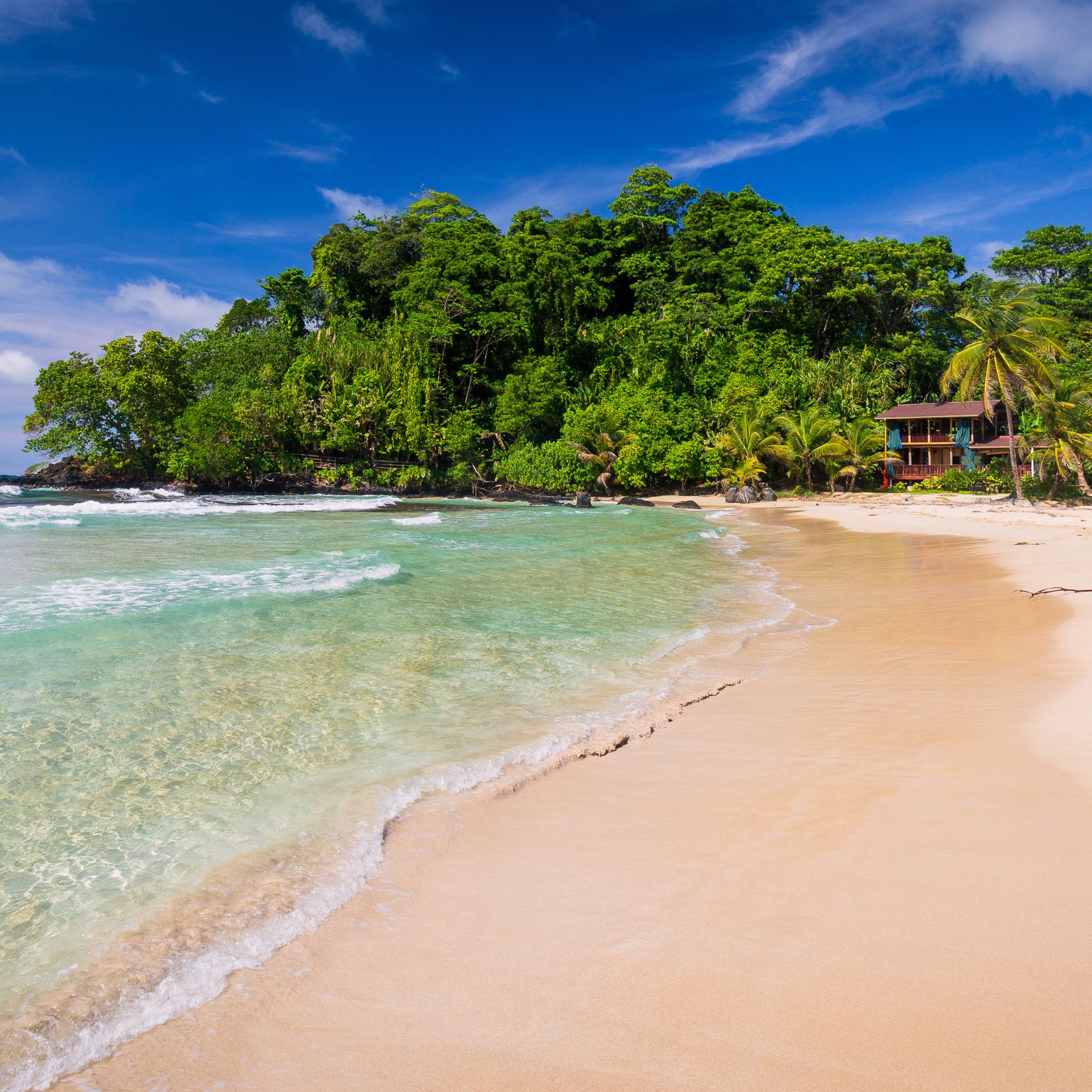 Bocas del Toro